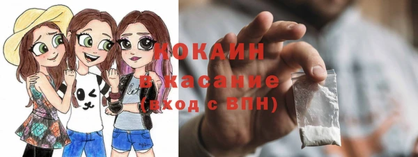 гашик Богородск