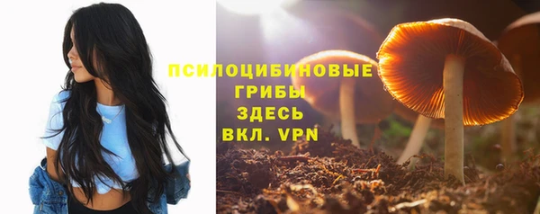 а пвп мука Богородицк