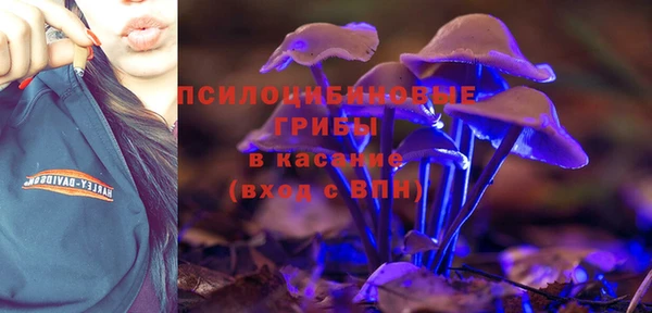 а пвп мука Богородицк